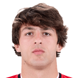 Unai Gomez