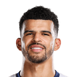Dominic Solanke