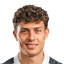 Fabio Gruber