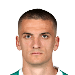 Nenad Cvetkovic