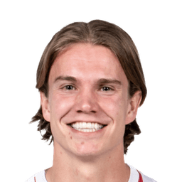 Niklas Vesterlund