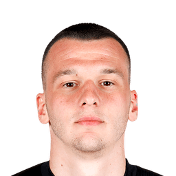 Novak Micovic