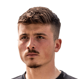 Semir Telalovic